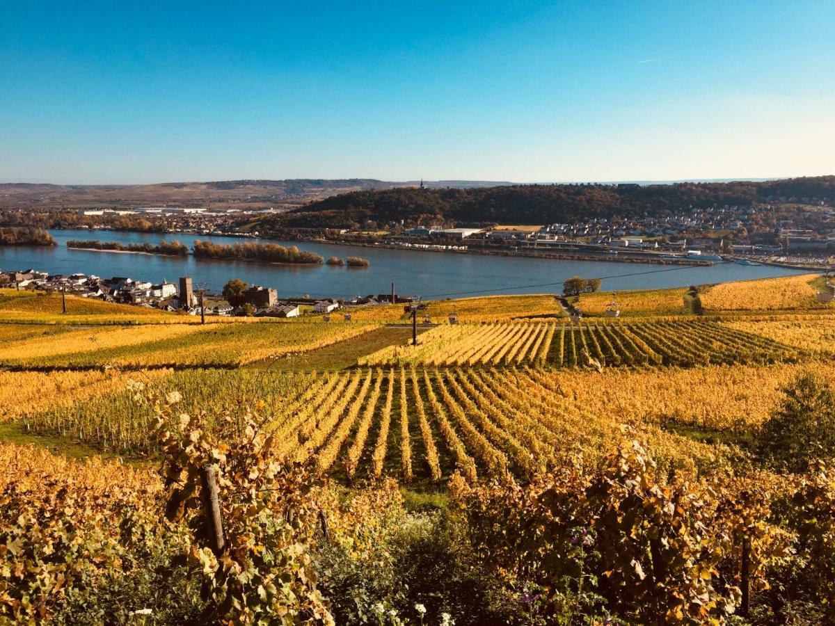 Hotel Altdeutsche Weinstube - Superior Rüdesheim am Rhein Exterior foto
